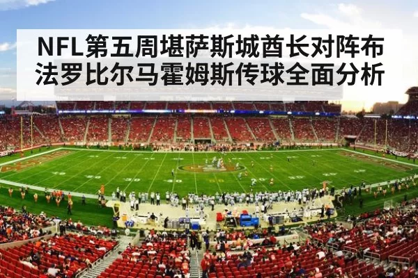 nfl stadium crowd night